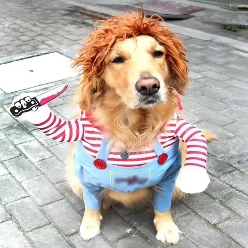 Funny Dog Halloween Costume With Knife